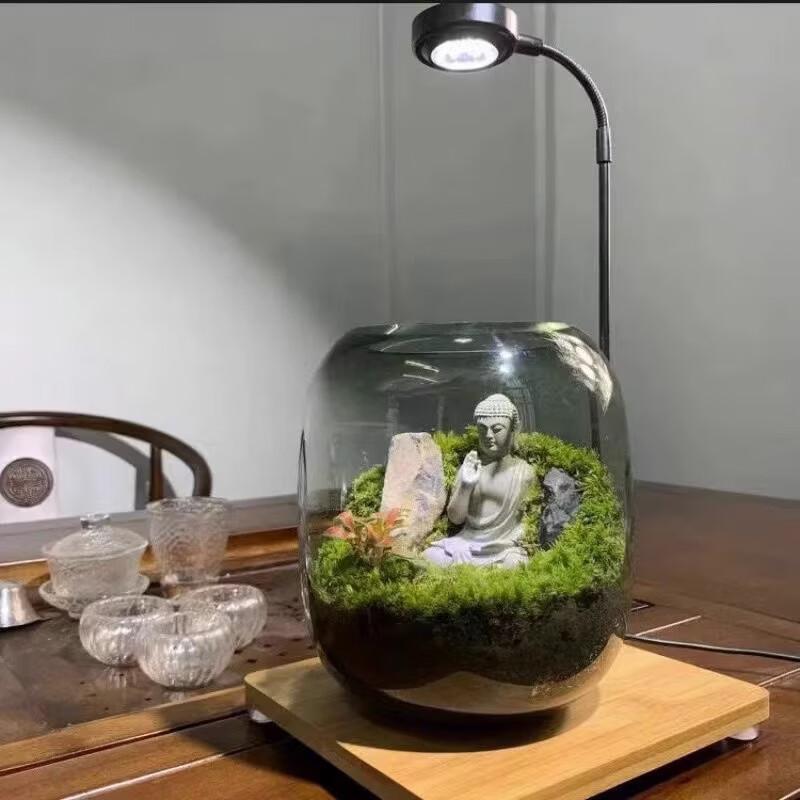 Hydropower Glass Vase & Micro Landscape Fish Tank