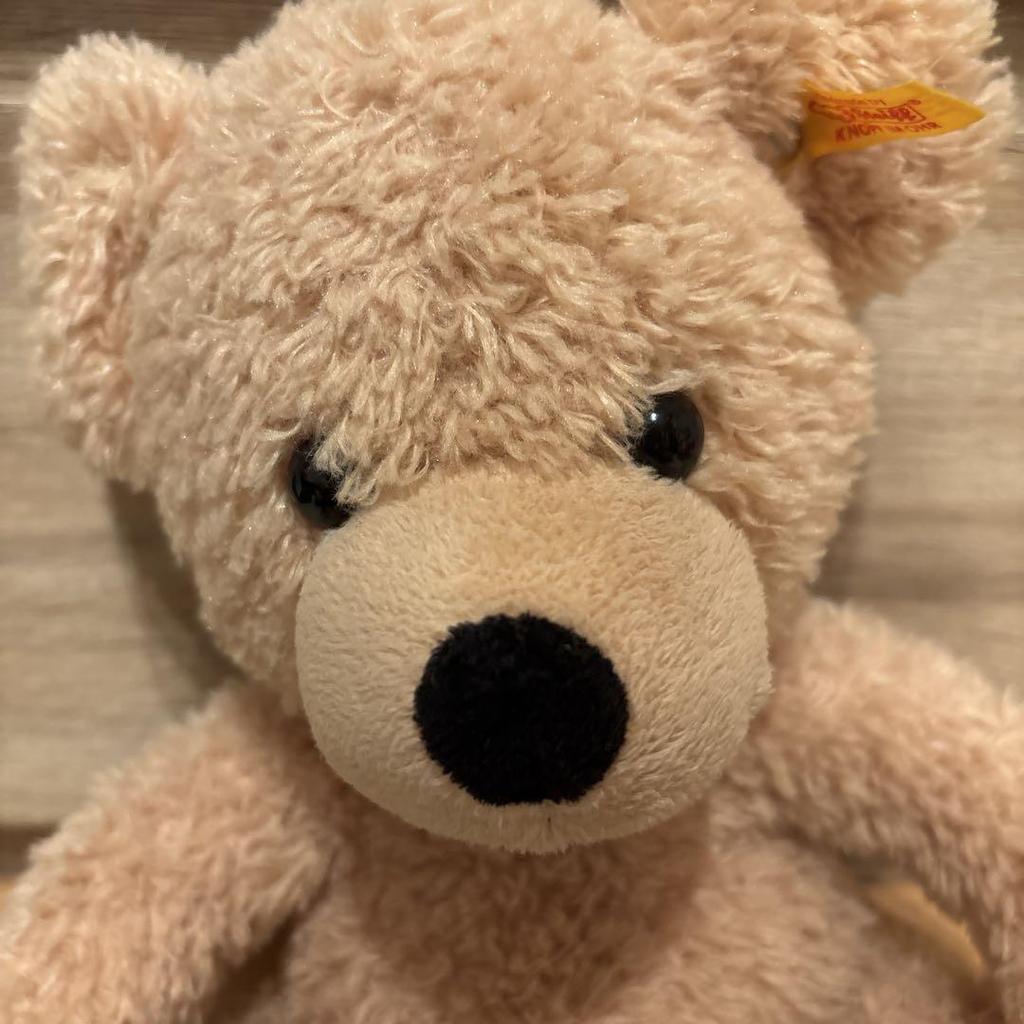 [USED] Steiff Teddy Bear