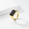 Cold Wind Square Black Gemstone Titanium Steel Ring Men's Niche High-end Sense Literary Temperament Ring