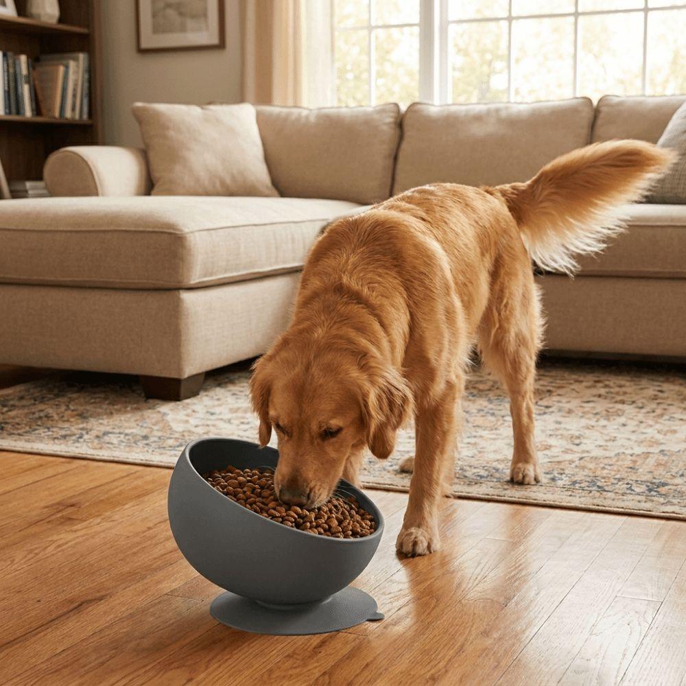 Suction Cups Silicone Pet Bowl Neck Protection Elevated Feeder Portable Dog Food Bowl Pet Dining