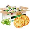 Jia Shi Li Nutritious Breakfast & Snack Biscuits