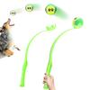 Cães – Brinquedos