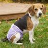 Leak-proof Pet Diapers Breathable Dog Menstrual Pants Pet Supplies Pet Underwear  Dog Heat Season