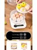 Kompakter elektrischer Eierkocher: Multifunktionaler Dampfgarer, Trockenlaufschutz, Automatische Abschaltung – Perfekt für 1-Personen-Puddings & Kochen.