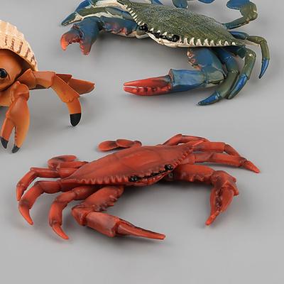 Realistic  Micro Landscape Red Crab Model Sea Animal Figurine  Cognition Simulation Crabs