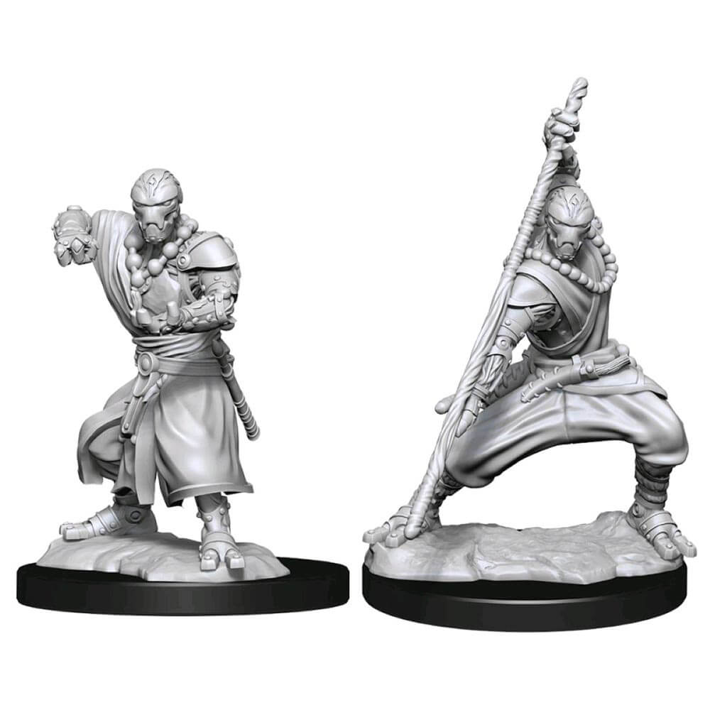 

МАМА D&D Нолзура: Закаленный монах