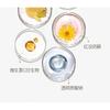 OSITREE - Dynamic Whitening Sunscreen SPF 50+ PA+++