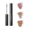 Eyebrow Coloring