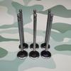 EQ1120GA Engine Intake/Exhaust Valve