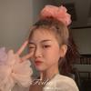 Organza Hair Tie for Women - Korean Style Rubber Band with Leather Case