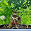 1pcs Lonely Green Elf Garden Decorative Pile, Imaginative Outdoor Sign Decoration, Suitable for Outdoor Lawn and Terrace