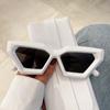 Personalized Diamond Thick Irregular Sunglasses Trend Cat Eye Women's Advanced Sunglasses UV400 Sun Protection Sunglasses