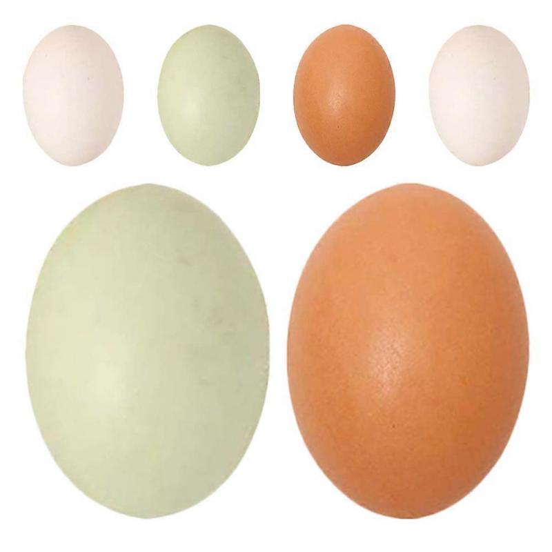 Wooden Simulation Chicken Eggs Artificial Eggs for Decor 6Pcs Kids Crafts