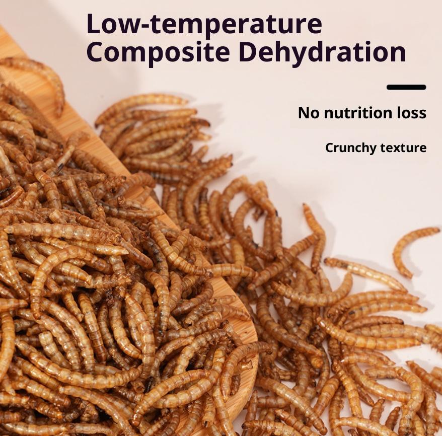 Direkt vom Hersteller Bio Hoher Proteingehalt Larven Reichhaltige Ernährung Essbare Insekten Gefriergetrocknet Mehlwurm Getreidefrei Umweltfreundlich Vögel