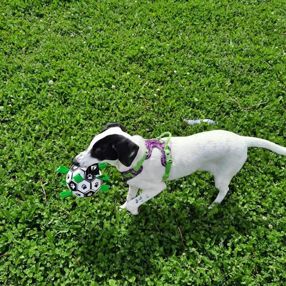 Interactive Dog Soccer Toy with A Grip Ring Durable Water Ball for Dogs Dog Chasing and Playing Toy Without Battery