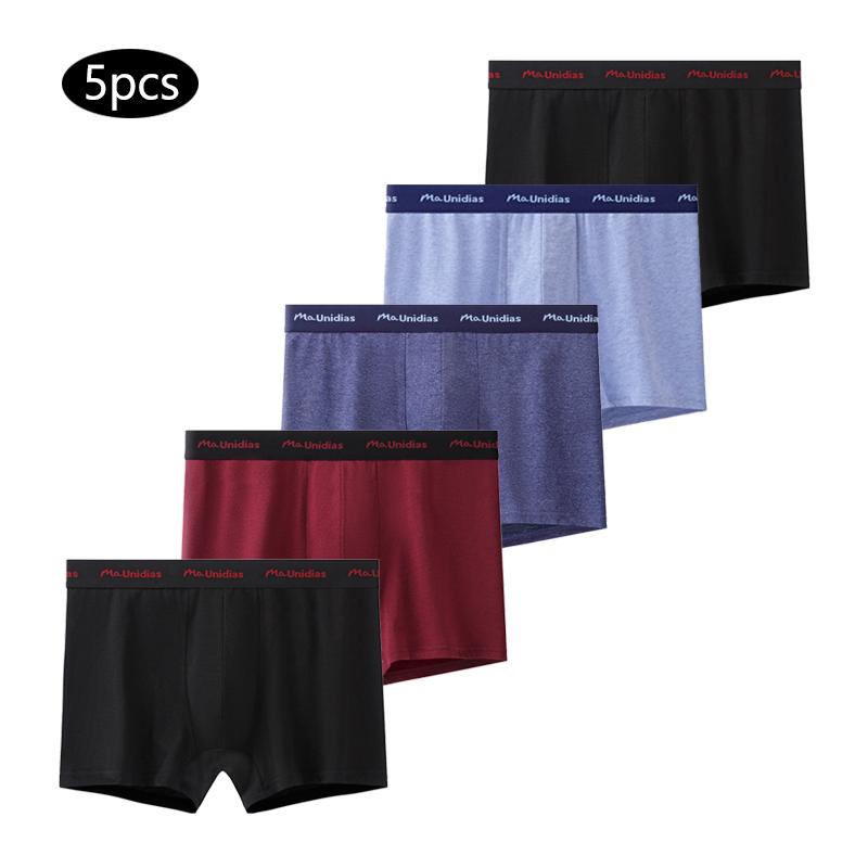 

5 шт. Мужские боксеры, хлопковые мужские трусы, сексуальное нижнее белье с эластичной лентой и надписью, мужские боксеры XXL