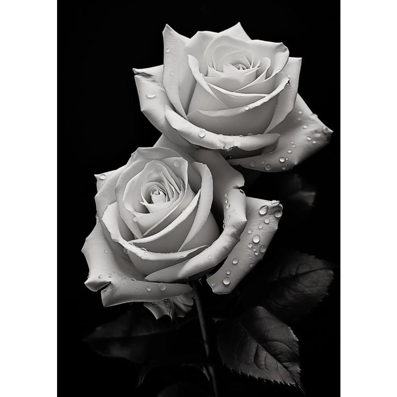 Modern Black and White Flower Posters Abstract Canvas Painting Print Pictures Wall Art Poster Home Living Room Decor Frameless