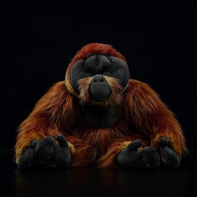 Gyvybiškas ilgaplaukis orangutanų iškamšų žaislai Minkšti tikro gyvenimo pongo beždžionės pliušiniai žaislai vaikams Dovanos suaugusiems