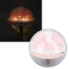 Essential Oil Diffuser  LED 270ml  Eternal Flower  Humidifier for Tabletop Bedroom