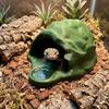 Simulation Rock Reptile Hideout Sturdy PETG 3D Printed Cave Lizard Feeder Aquarium Decoration