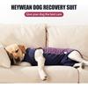 Dog Recovery Suit Post-Operative Vest Pet After Surgery Abdominal Wound Puppy Surgical Clothes Puppy Summer Clothes