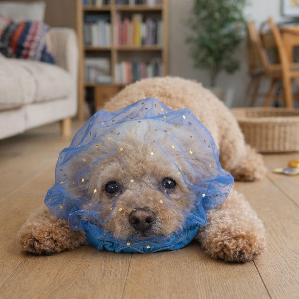 Adjustable Anti-Mosquito Headgear Breathable Anti-Bite Head Cover for Small Dogs Cat