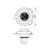 Lampe de moto - Osram - Cool Blue - 12V - 100/90W - 2 pièces - Haute Performance