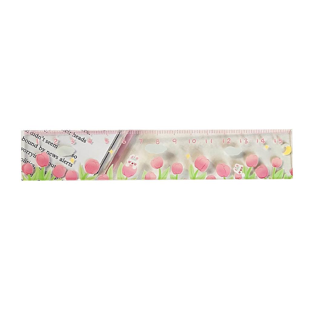 Measurement Ruler Multipurpose High Accuracy Cute Cartoon Plastic Scale Ruler for Students School
