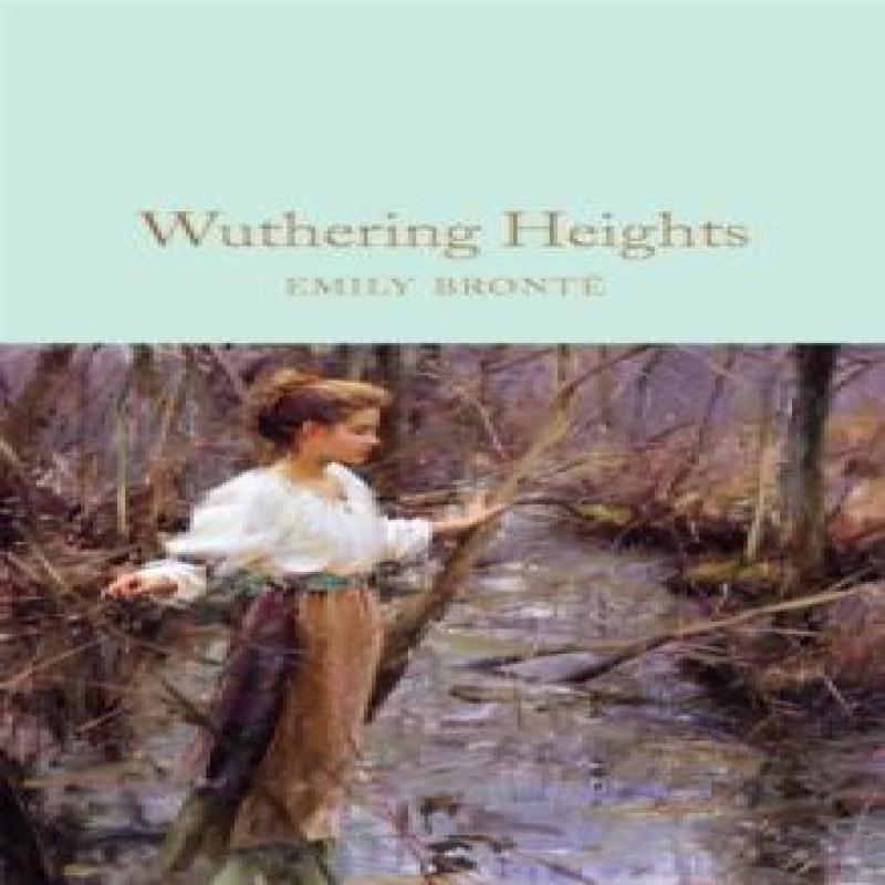 Wuthering Heights by Emily Bronte Hardback Book 9781509827800