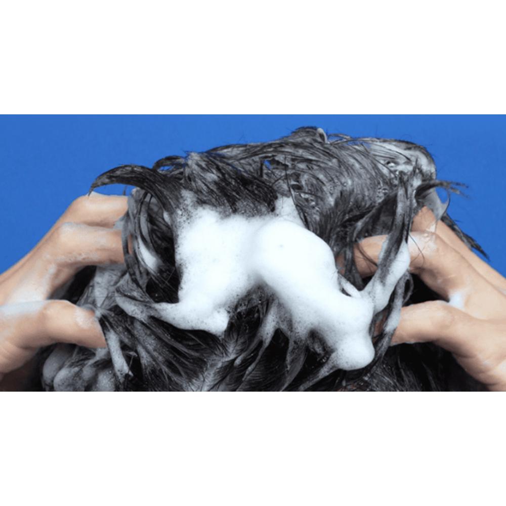 Head & Shoulders Apple Fresh Shampoo, clean and refreshing scent, 1.2L, 2 pcs.