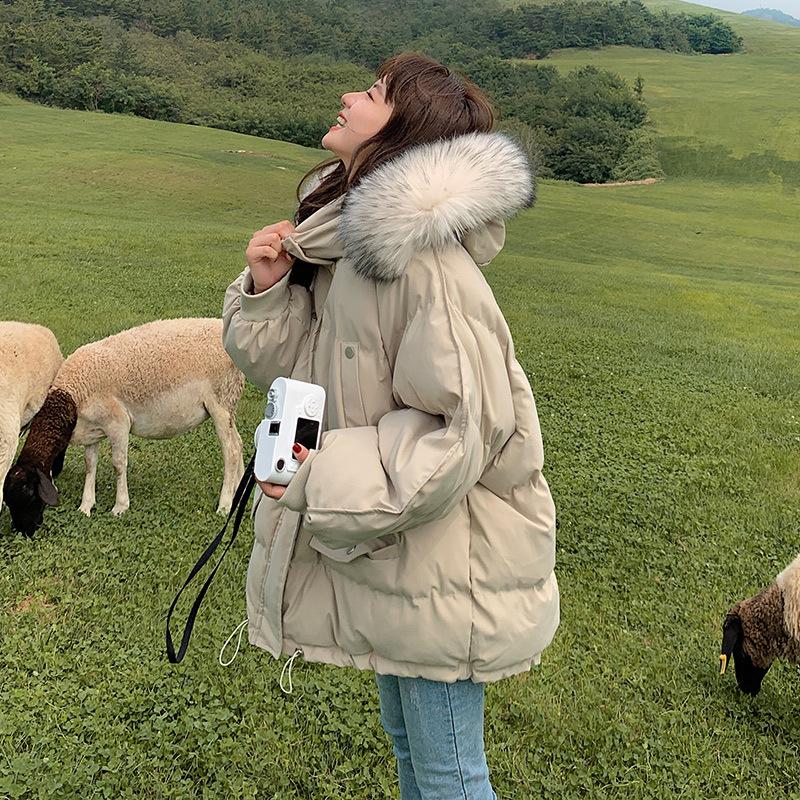 

Женская одежда оверсайз с хлопковым утеплителем, зимняя женская хлопковая куртка в стиле инс, хлопковая одежда XS абрикосовый