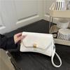 Casual Small Square Bag Trendy Bag Women's Summer 2025 New Niche Simple Shoulder Bag Japanese Fashion Underarm Bag