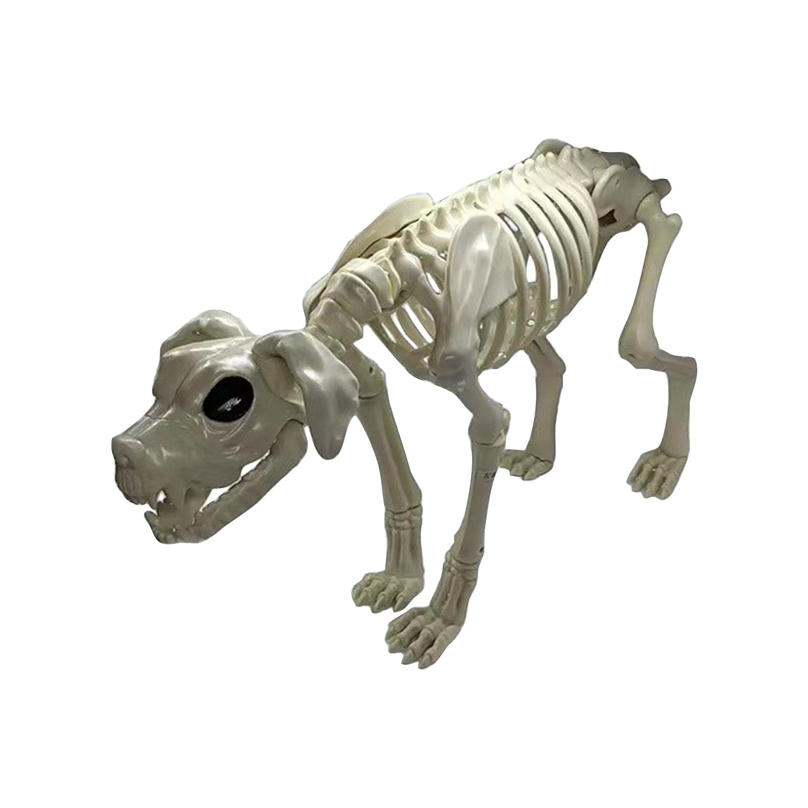 

Skeleton Dog Halloween Decoration, 80cm Halloween Decoration Skeleton Dog, Movable Animal Skeleton For Haunted House One Size