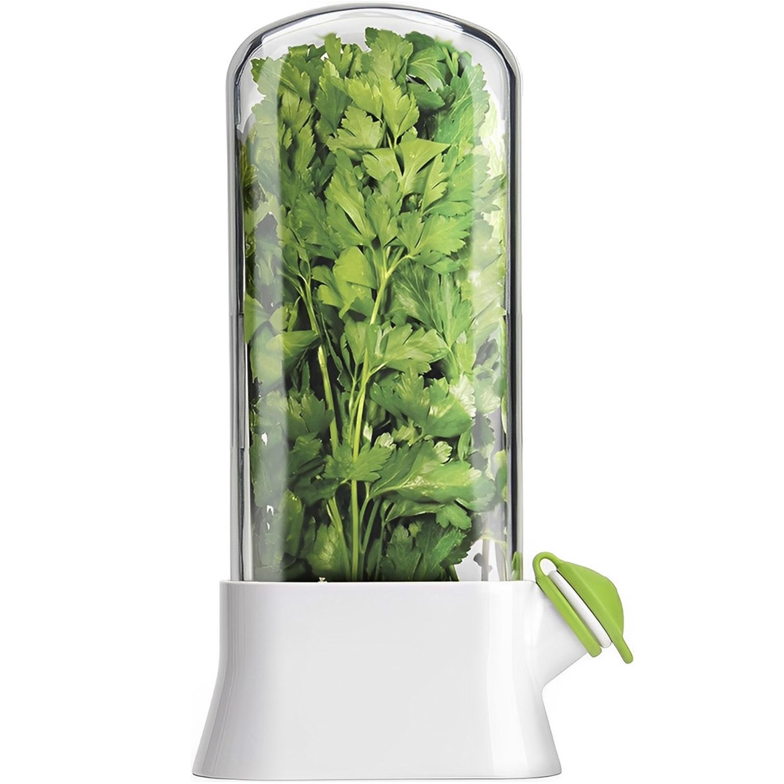 

Herb Saver for Refrigerator Vegetable Preserving Bottle Fresh Herb Keeper Pod Cilantro Saver Container for Kitchen Storing Tool