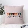 Classic F-Friends Tv Show Pillow Case Ultra Soft Skin Friendly Fabric Cloud Like Comfort & Concealed Zipper