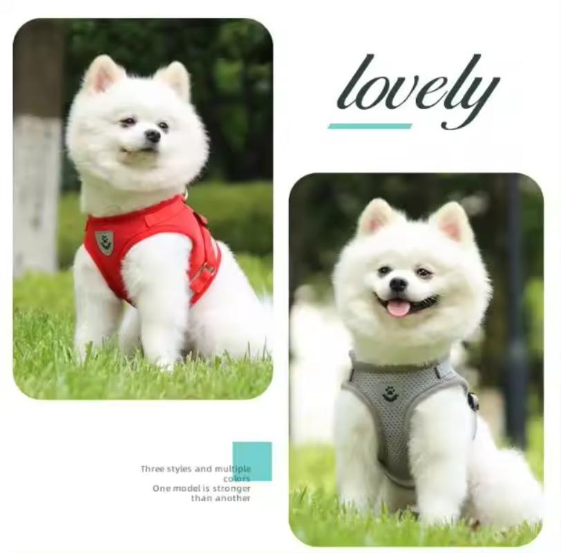 Modisches kariertes Katzengeschirr für Katzen, Sommer-Netz-Haustiergeschirr und Leine, Set mit Katzen-Kitty-Produkten für Zubehör