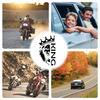 Lion Car Decal Sticker, Lion Decal for Car | Car