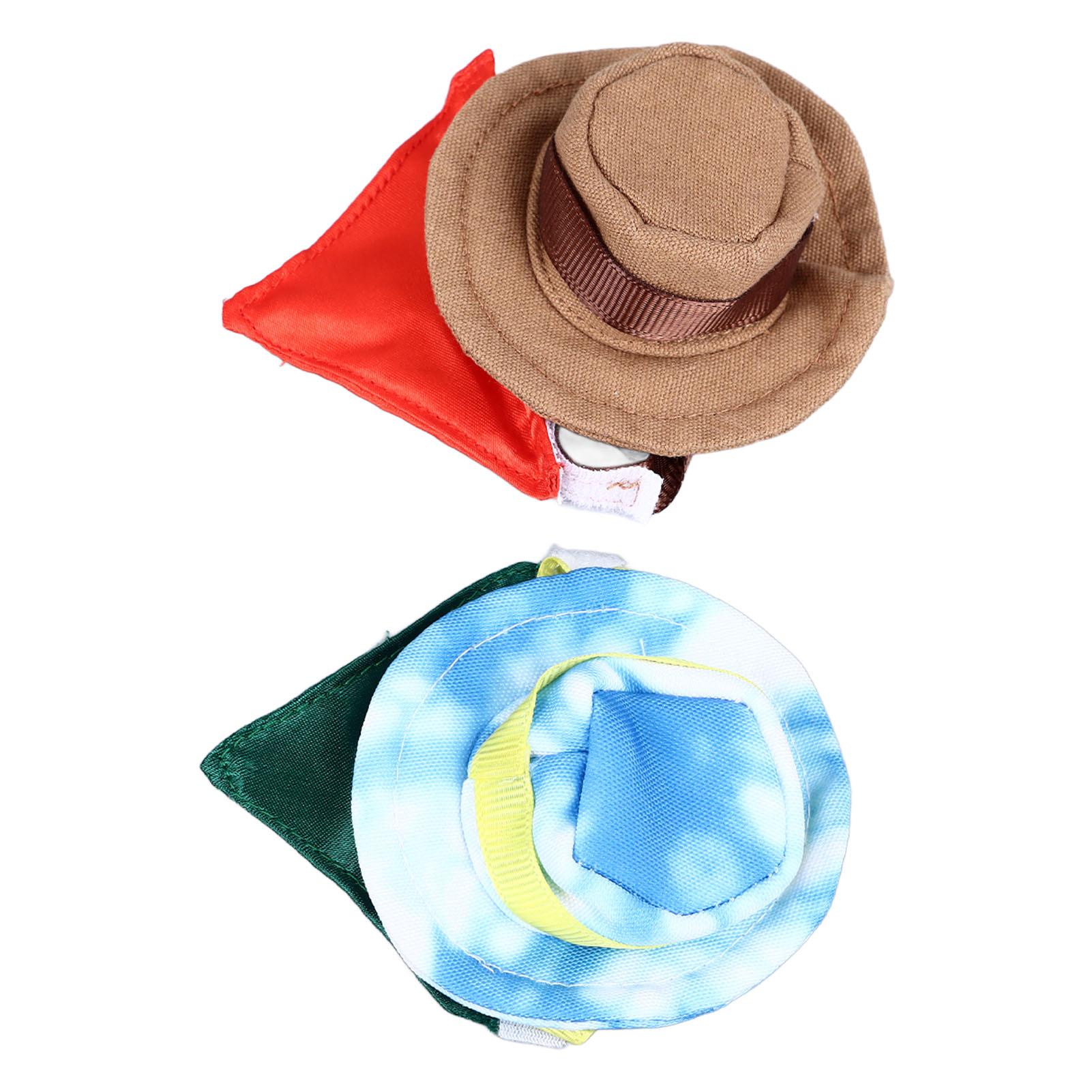 Костюм рептилии на Хэллоуин в виде ковбойской шляпы и банданы с бородатым драконом — фото 7