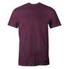 Harry Potter Mens Courage Bravery Determination Gryffindor T-Shirt
