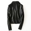 Women's Short Sheepskin Slim Motorcycle Leather Jacket