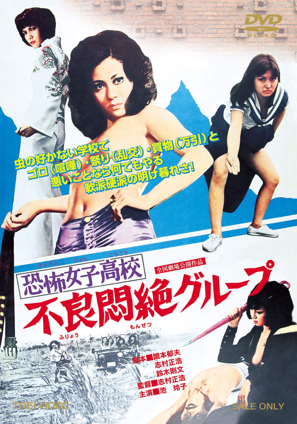 

Horror Girls High School Bad Agony Group DVD