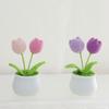 Hand-woven tulip flower pot, realistic simulation flower design, perfect gift for girlfriend, relatives, friends, bright colorful home and party
