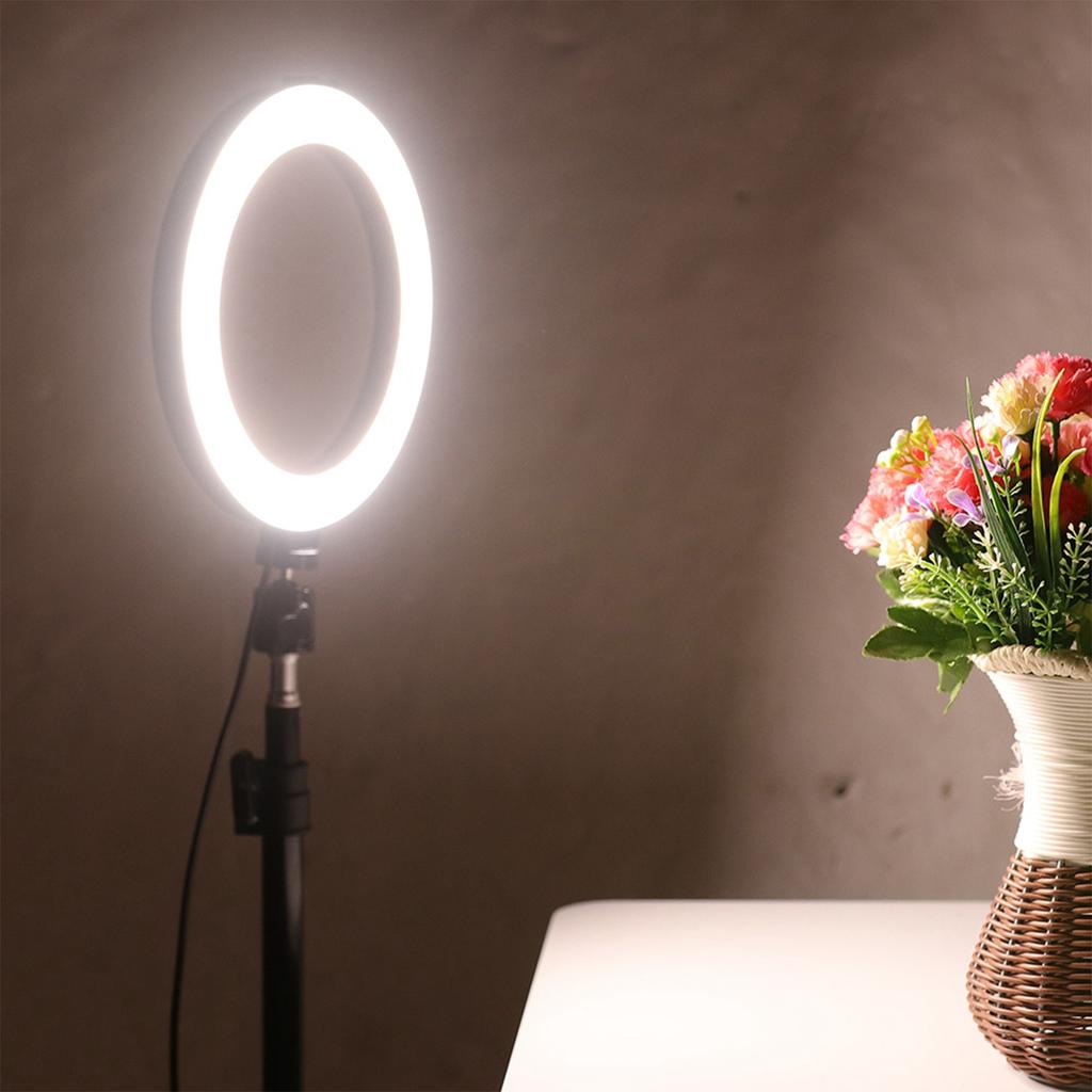 10 Inch Dimmable LED Circle Fill Light USB Camera Video Lamp with Tripod Phone Clip Set