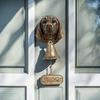 Dog Welcome Bell Vintage Shopkeepers Bell Wall Mounted Dog Door Bell with Welcome Sign for Farmhouse Home Front Door Entrance