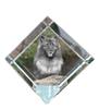 Keeshond, Dutch Barge Dog, Smiling Dutchman – Crystal Cube with a Photo, Photo of a Horse In Crystal |