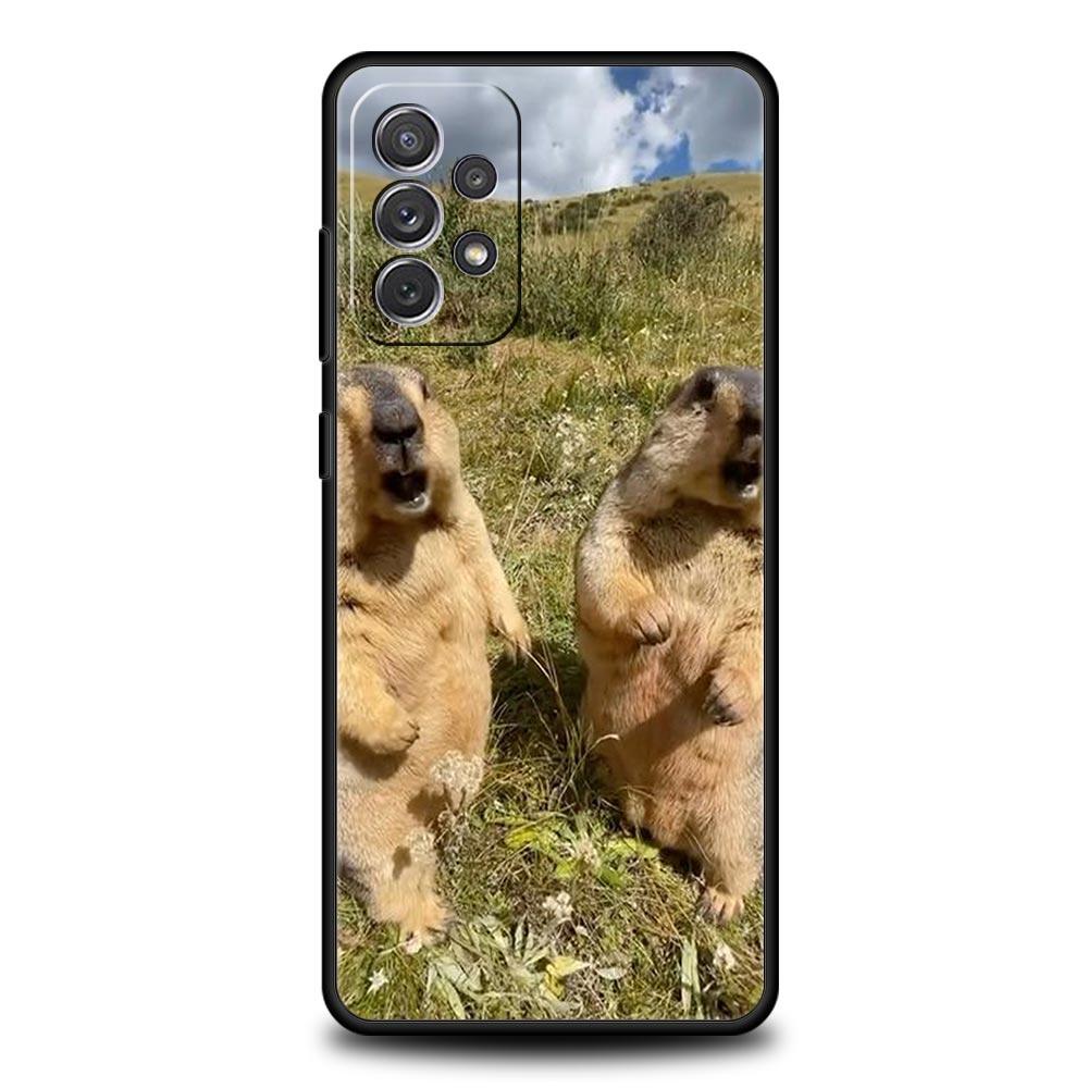 

marmot Phone Case for Samsung Galaxy A17 A13 A15 A25 A35 A51 A55 A71 A21S A11 A31 A41 A23 A53 A73 A32 5G A03S A05s Cover Samsung A53 5G