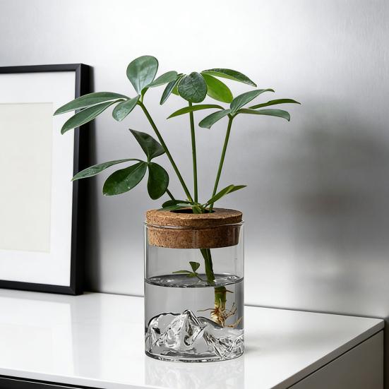 Glass Plant Propagation Station Clear Mountain Hydroponic Planter Artistic Flower Vase Plant Propagation Jar for Home Living Room Bedroom Desktop