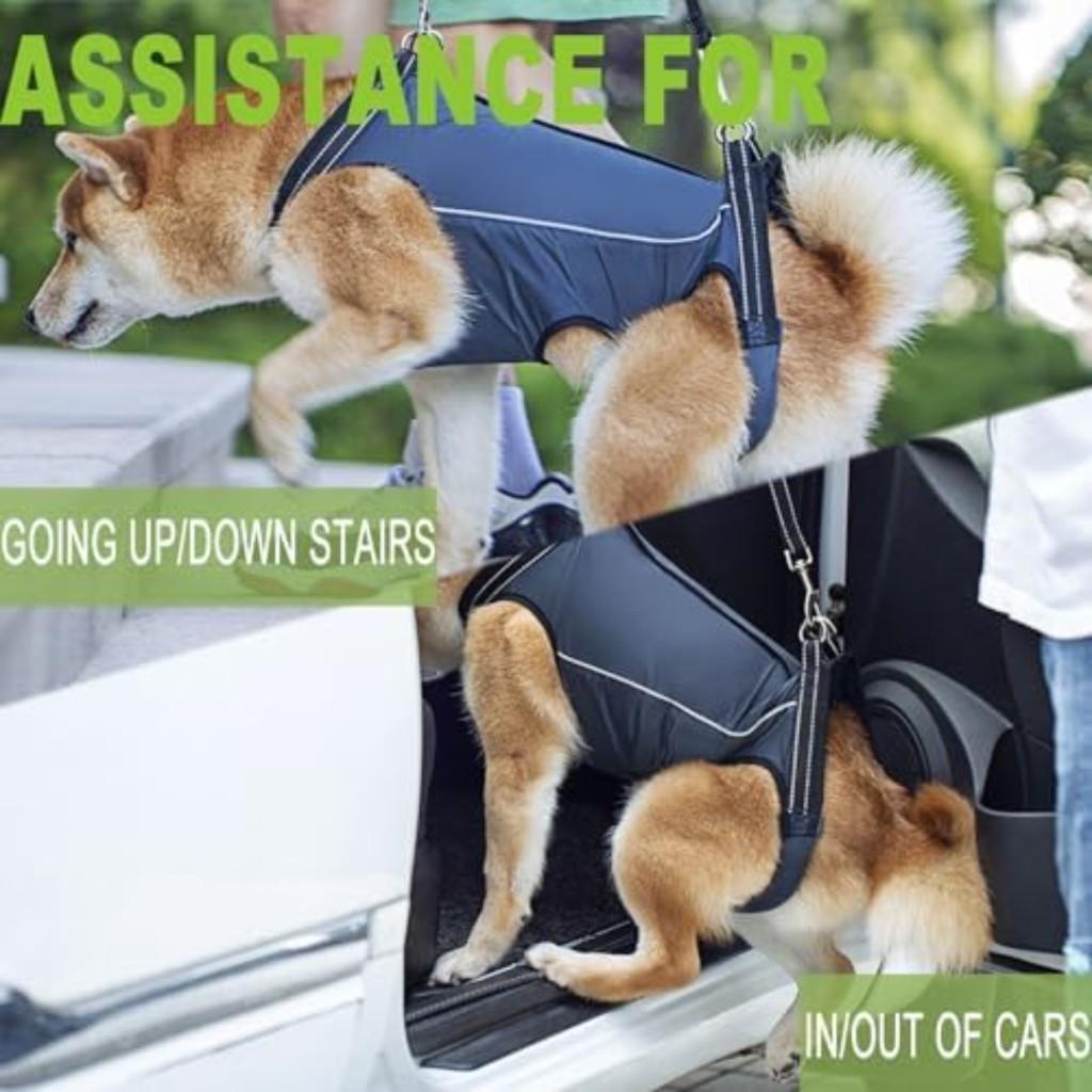 Dog Hindleg Assist with Pet Senior Dog Disabled Dog Elderly Dog Inability Rehabilitation Aid Training Belt