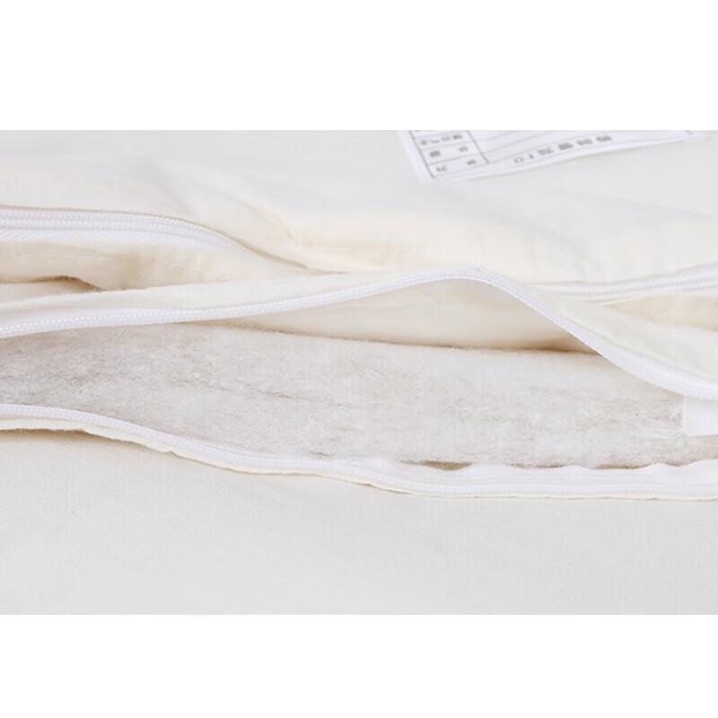 JingJingRS White Warm Cotton Mattress