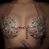 2022 Damen Blume Strass BH Brustkette Körperschmuck Abend Elegante Kleidung Dessous Sexy Kristall Tanzbekleidung